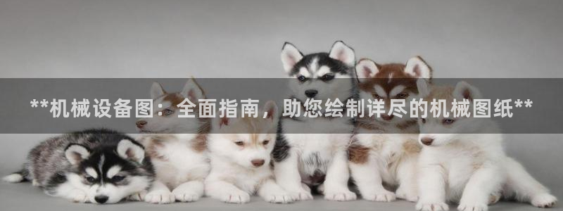 九游会j9网站首页