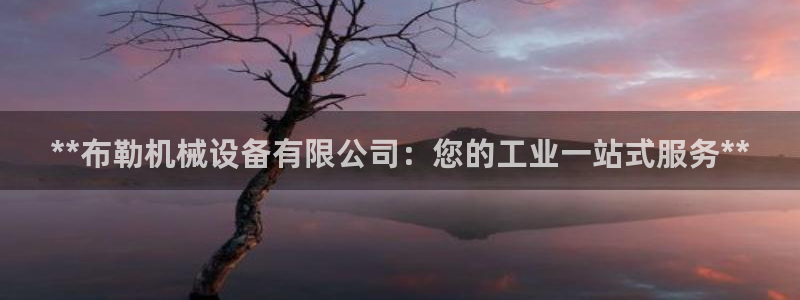 九游会游戏登陆