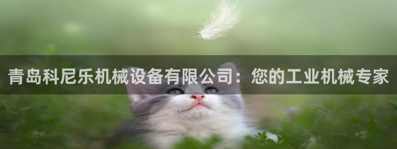 j9九游会老哥俱乐部 - 九游会
