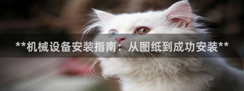 usdt九游会老哥俱乐部