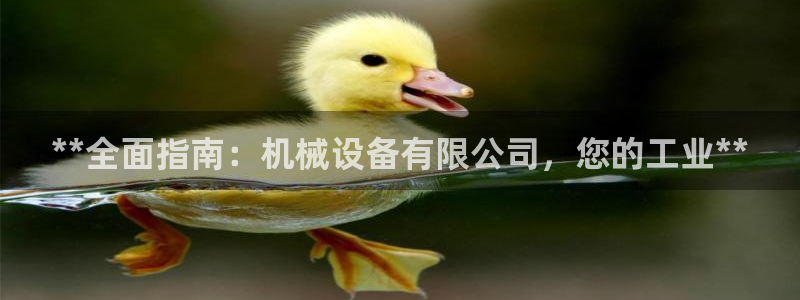 j9j4.cn