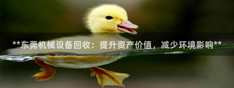 九游会首页进入