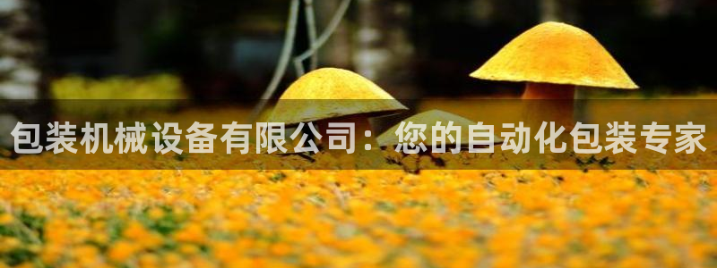 九游会app官方