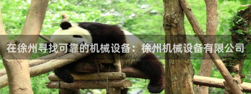 九游会app下载版官网正版