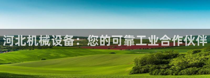 九游会平台