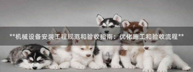 九游会官方正版下载