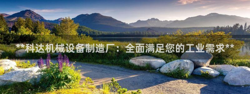 九游会第一真人视频游戏