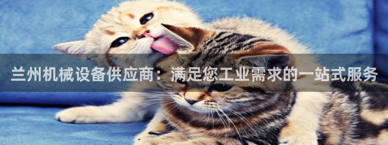 九游会官网ag