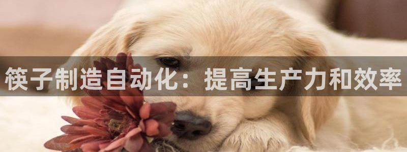 九游会登陆网址
