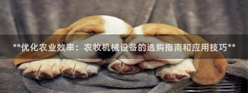 九游会集团 | 首页