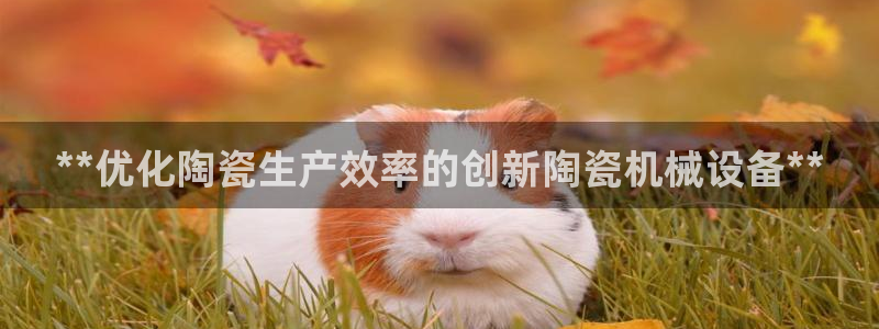 九游会最新线路