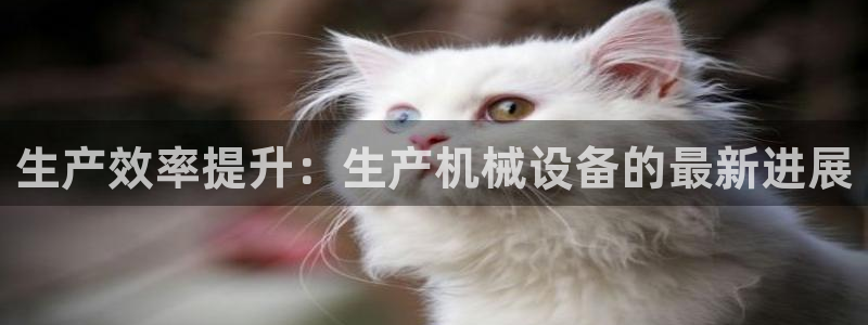九游会ag首页