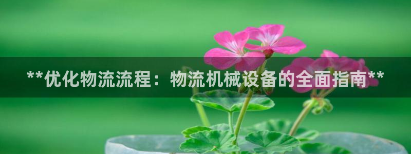 九游会游戏真人