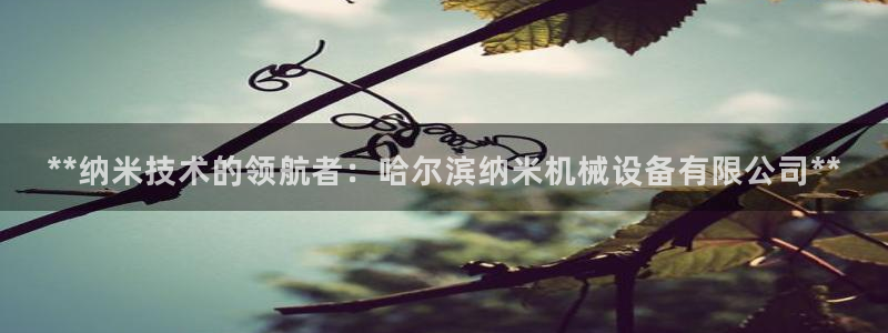 九游会网址在线玩