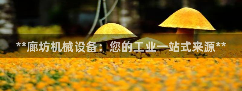 j9九游会老哥俱乐部