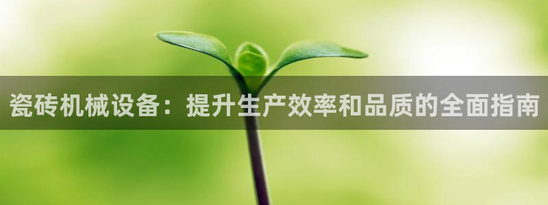 九游会是大平台吗