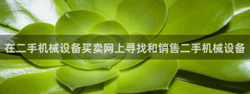 九游会agj9