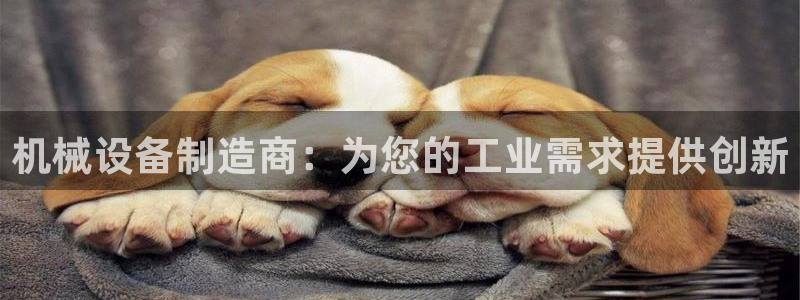 九游j9会