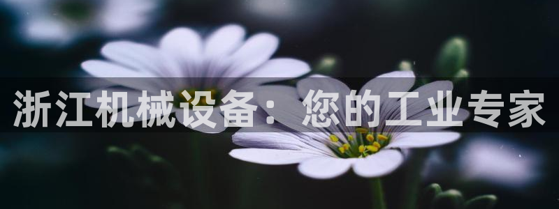九游会集团菲律宾