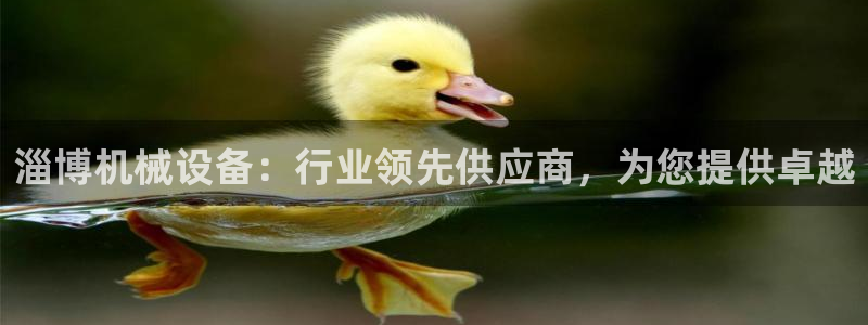 j9九游会真人手机版