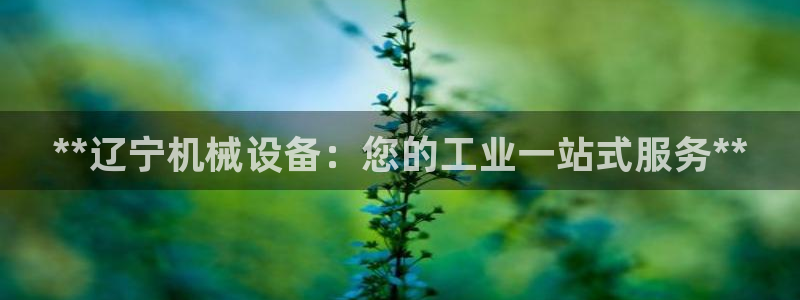 j9九游会首页入口