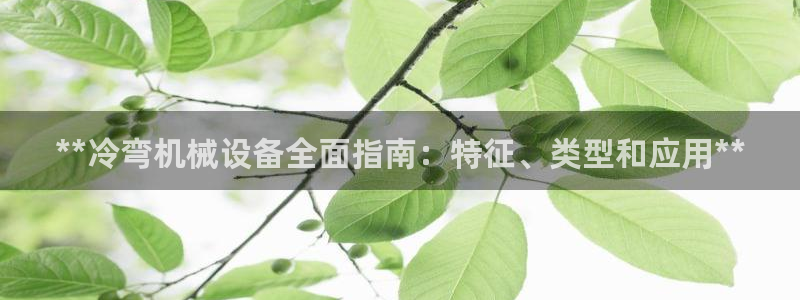九游会ag老哥俱乐部入口
