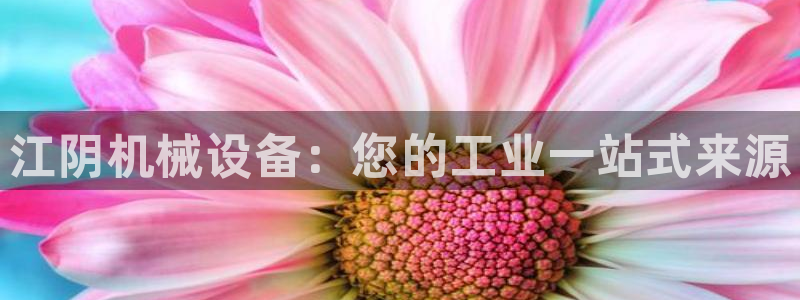 J9九游会官网app
