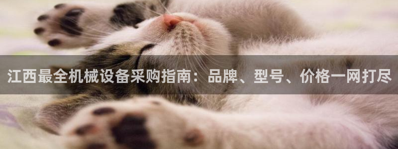 j9九游会会员日