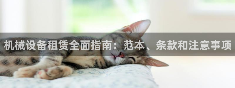 九游会a?g