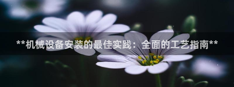 九游J9官方网站