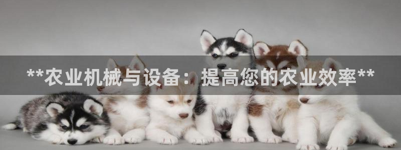 j9九游会游戏中国官方网站