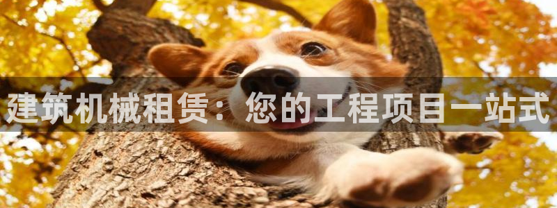 j9官网app