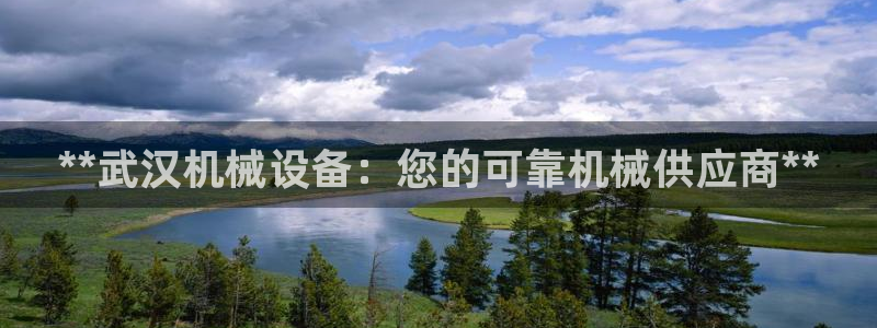九游会j9官网网站