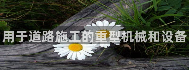 九游会倒闭吗?