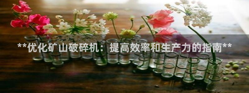 九游会是什么