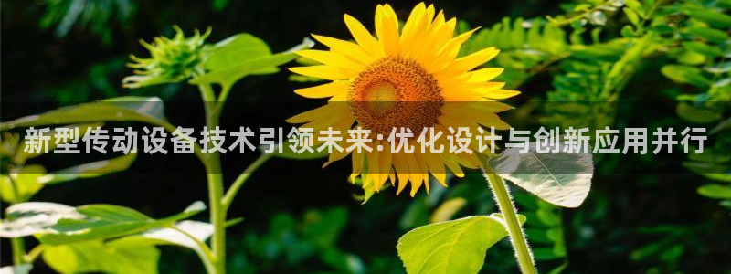 j9p下载
