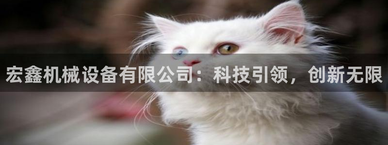 九游会usdt