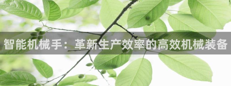 九游会ag登陆
