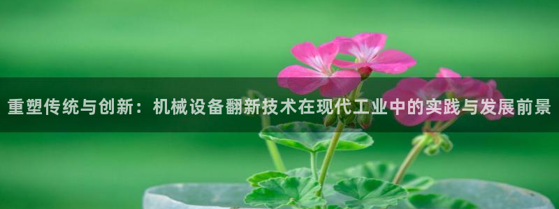 9游会老哥：重塑传统