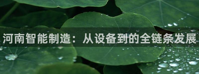 九游会网址大全