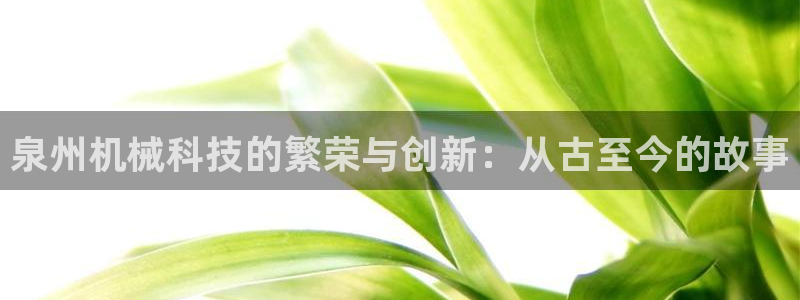 九游会是ag吗