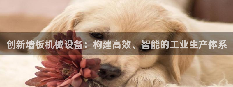 j9九游会直营