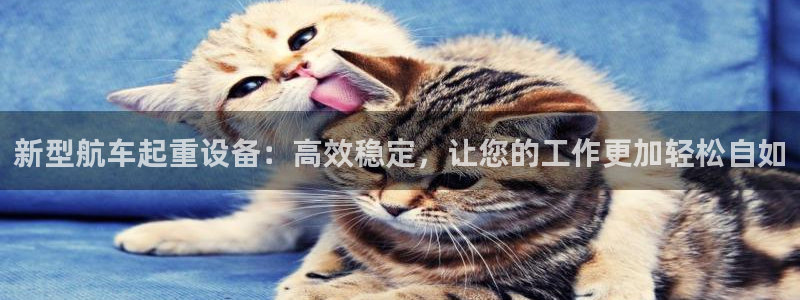 j9九游会入口