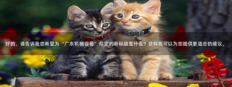 九游会ag老哥俱乐部