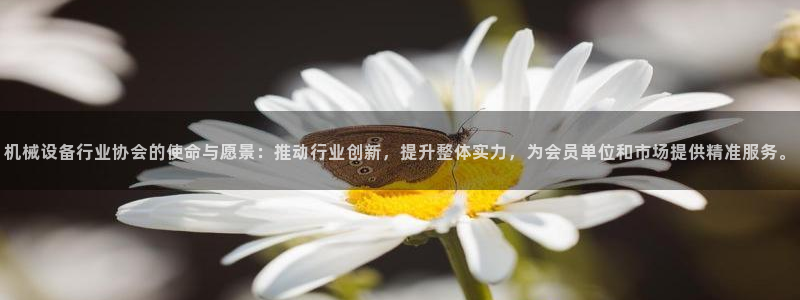 j9九游会ag8手机aPP