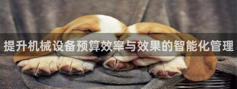 九游会网页