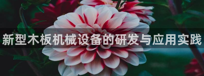 j9九游会最新版