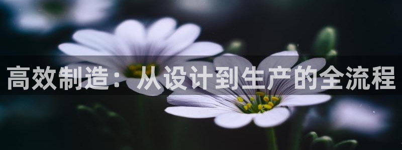 j9九游会首页入口