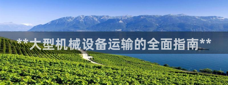 九游会亚洲官网